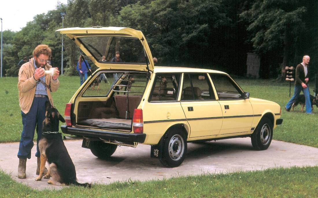 1HuNrQwSdJy0BhlmH4kquw-de222f5b627c8d7ff79c0ffcf5de3923-peugeot-305-back-1100