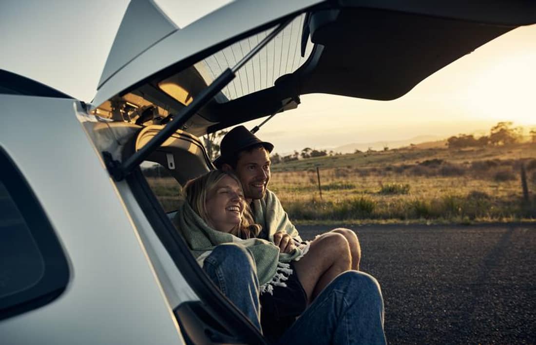 couple, trunk, happy