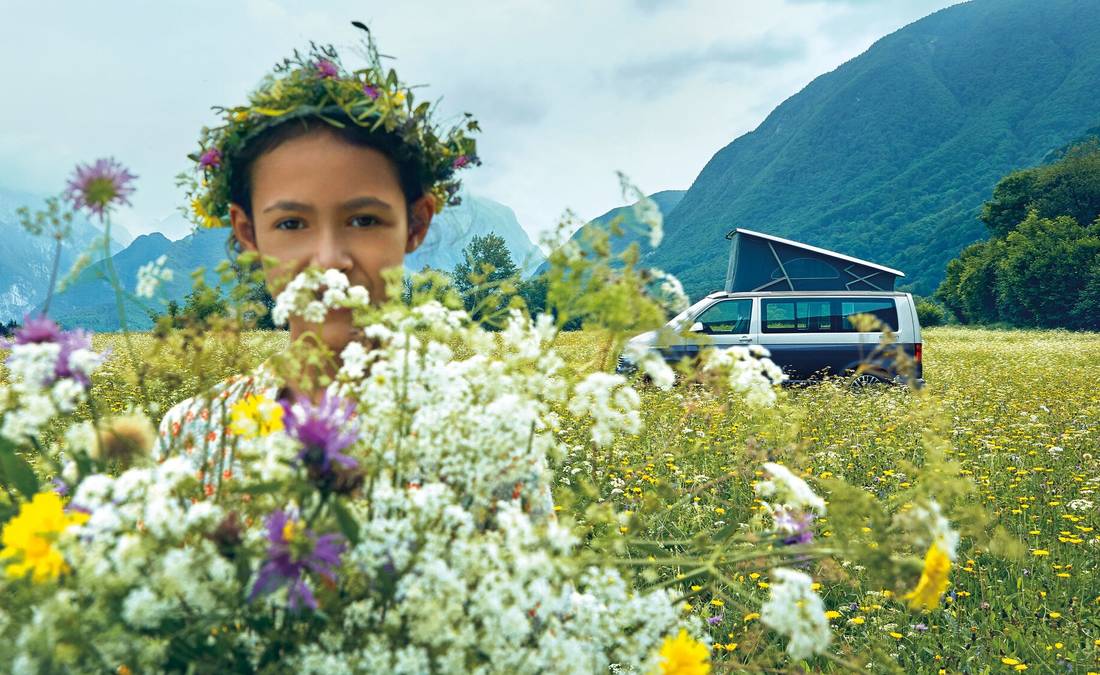 volkswagen-t6-california-side