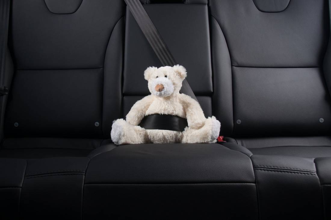 Seat+belt