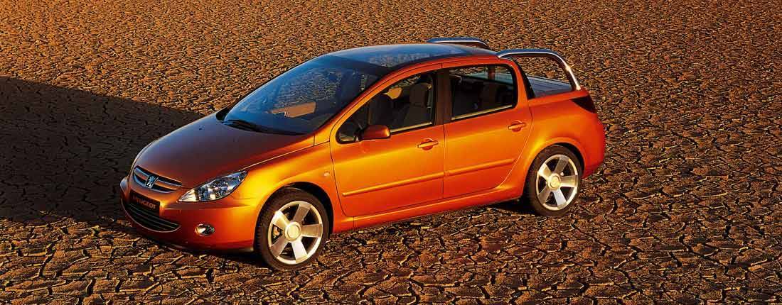 22CgU29WcbrqNCxS4bGbe9-10e0eef3e85c2bbee26262eca22458cd-peugeot-307-l-01-1100