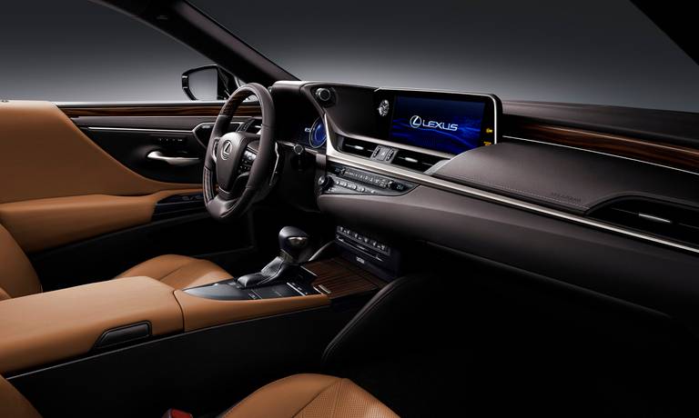 2019 Lexus ES300h int 19